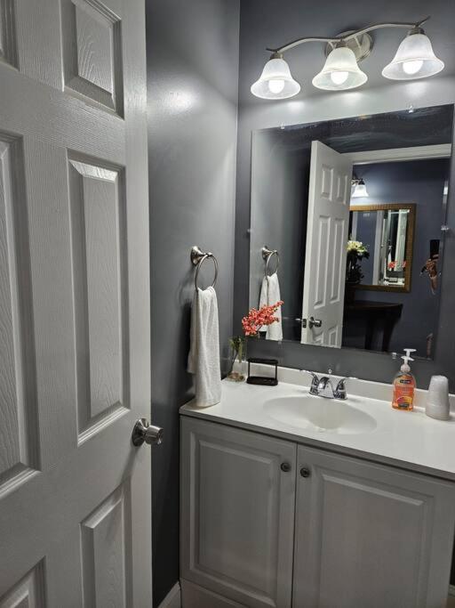 Large, Fenced, Near Beale Street Downtown, Hot Tub *